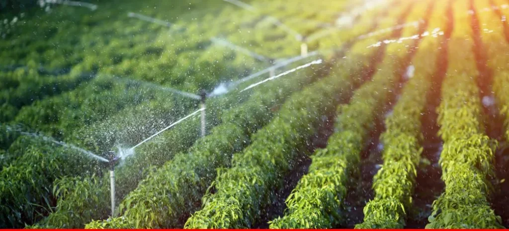 Efficient-irrigation-practices-to-minimize-water-loss-1-1024x466 الثورة الزراعية: كيف يُحدث الذكاء الصناعي والتكنولوجيا الحديثة نقلة نوعية في الزراعة