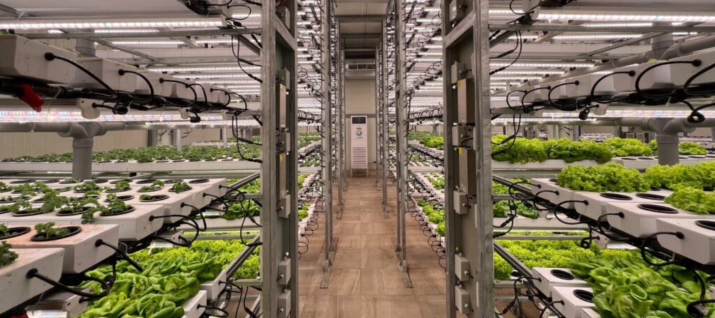 vertical-farming-e1688879538654-1024x456-2 الثورة الزراعية: كيف يُحدث الذكاء الصناعي والتكنولوجيا الحديثة نقلة نوعية في الزراعة