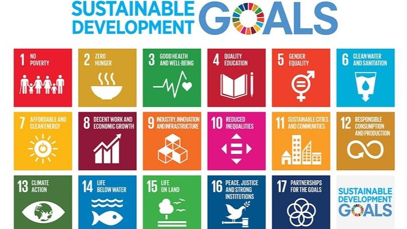 sustainable-development-strategy-1 "مشروع بنبان: كيف تقود مصر ثورة الطاقة النظيفة بأكبر محطة شمسية في العالم"